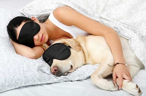 Всем спать: 12 марта отмечают Всемирный день сна