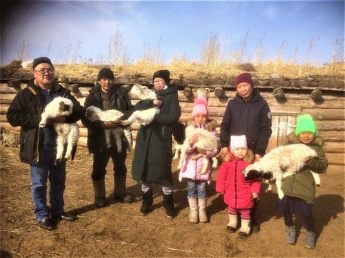 У “кыштаговцев” полным ходом идет окотная кампания