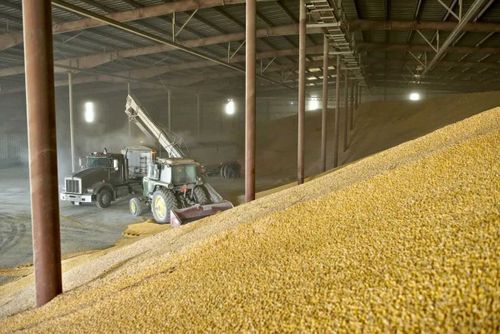 С 1 марта разрешен ввоз сельскохозяйственных кормов в Монголию