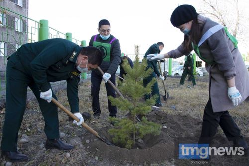 Международная акция «Сад памяти» пустила корни