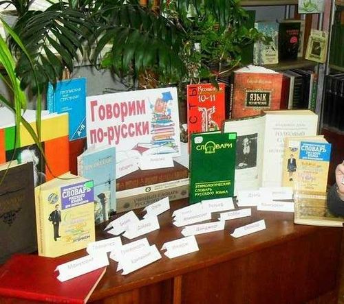 Сегодня завершается проект «Говорим по-русски»