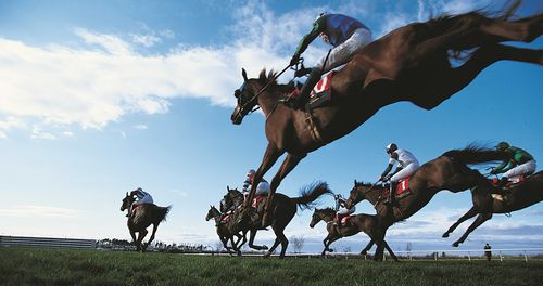 Галопом по степи. В Туве стартует новый сезон конных скачек