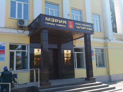 Своры собак и кошек в квартире. Как в Кызыле бороться с нерадивыми хозяевами?