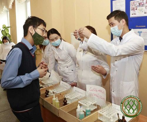 «Ученые могут вдохновлять». Научно-практическая конференция в ТувГУ