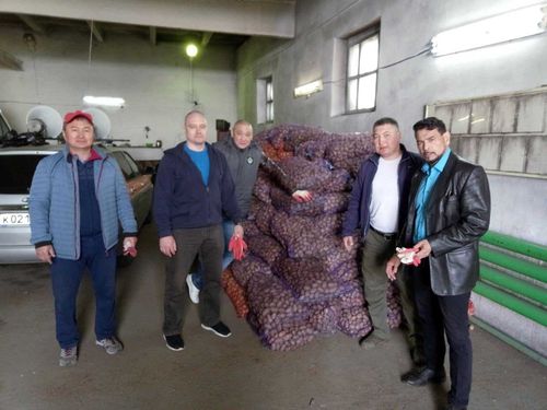 «Единая Россия» передала Департаменту соцполитики Тувы более 4,8 тонн картофеля