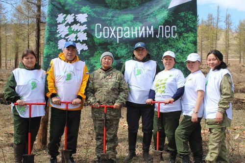 Тувинские лесопатологи приняли участие в международной акции «Сад памяти»
