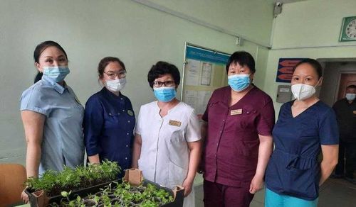 Медсестры Тувы высадили саженцы цветов в честь 100-летия ТНР