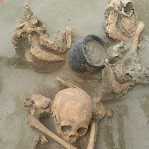 Студенты ТувГУ участвуют в археологических раскопках могильника Ала-Тей эпохи хунну II–I веков до н.э.