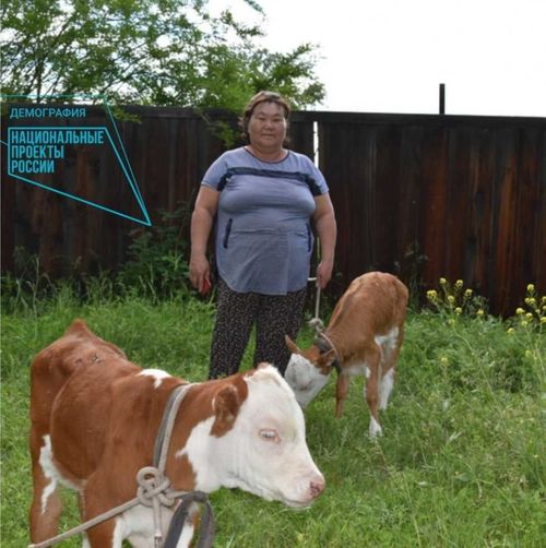 Семья из Турана получила деньги по соцконтракту на развитие личного подсобного хозяйства