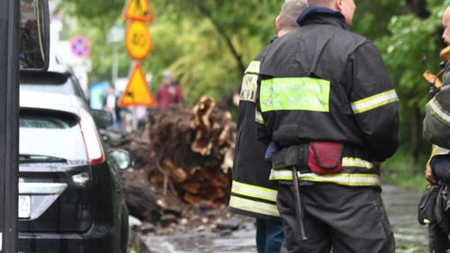 В Туве подсчитывают ущерб после урагана