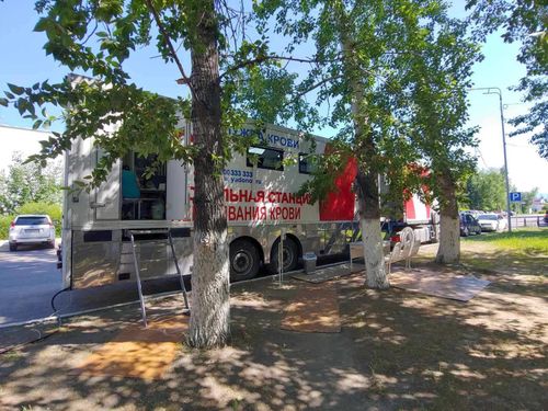 В Туве ищут доноров крови для беременной девушки