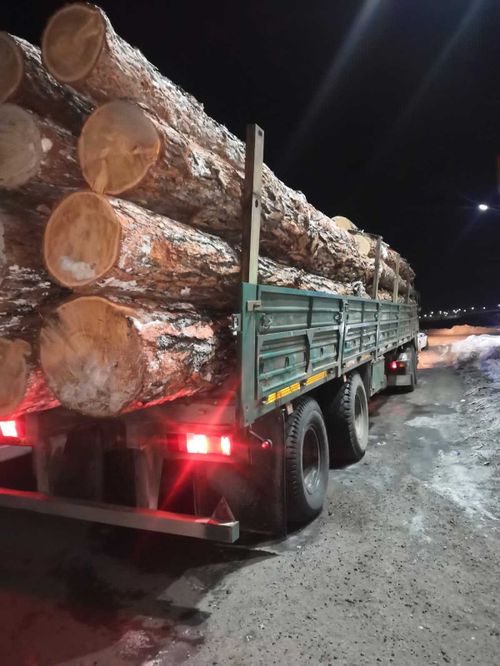В Туве незаконно вывозят лес