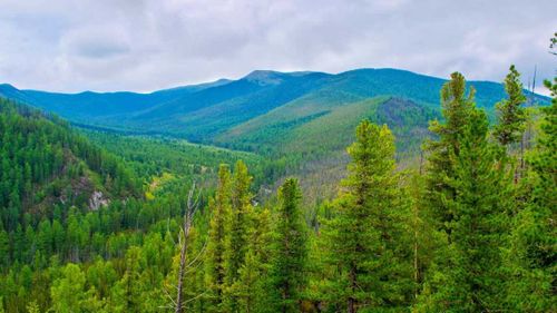 Безбарьерная «Станция тайга» для людей с инвалидностью. Что еще подготовят в природном парке Тувы