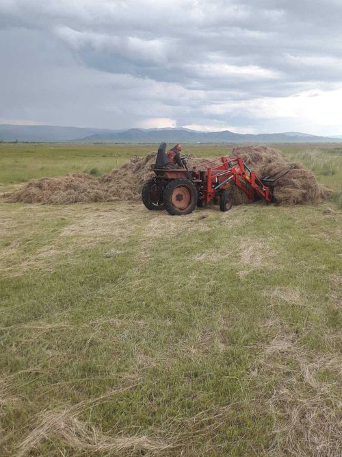 Пий-Хемцы приступили к заготовке сена и сенажа