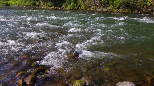 В Туве ребенка унесло течением реки
