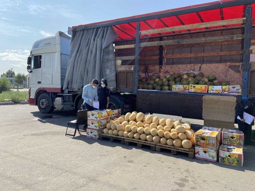 В Туве рецидивисты украли коробки с дынями