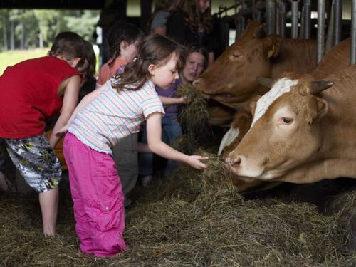 Тува предлагает грант на развитие семейной фермы