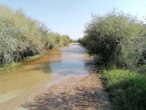 В Эрзинском районе из русла вышла река Тес