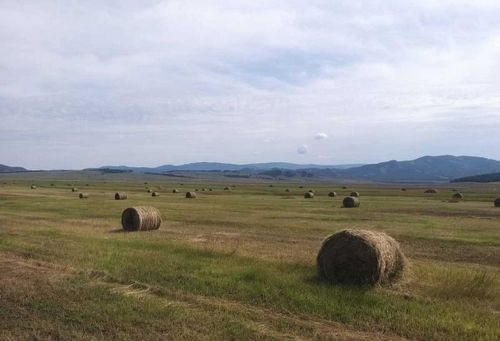 Каа-Хемский район готов к кормозаготовке на 119,6%