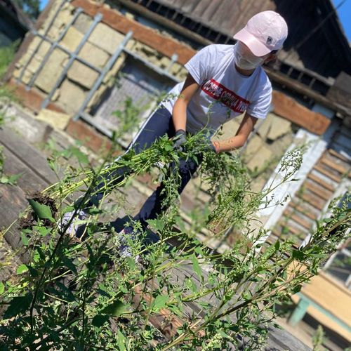 «Когда старость в радость». О том, как активисты помогают пожилым