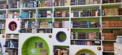 В следующем году в Туве появятся еще 3 модельные библиотеки