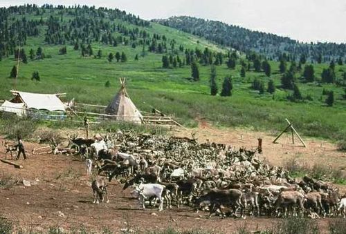 В Туве проходит Всероссийская перепись населения