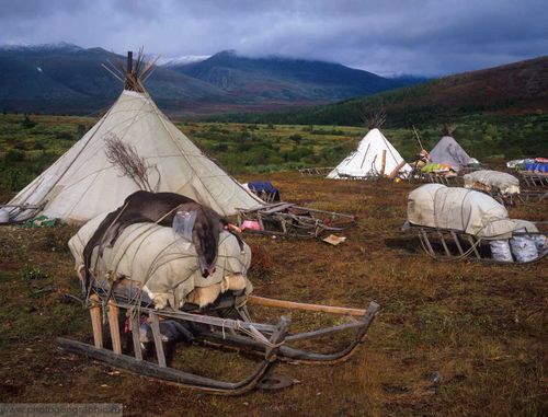 МФЦ готовит новый сервис для коренных и малочисленных народов