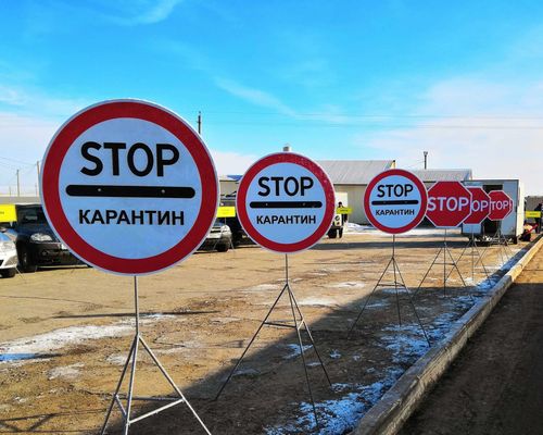 В Эрзинском районе Тувы обнаружили медведя с бешенством