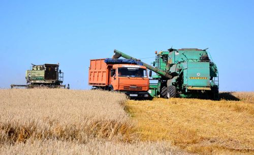 Минсельхозпрод: В Туве урожай этого года превзошел показатели прошлых лет