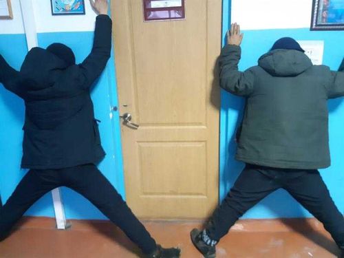 В Туве рецидивисты похитили более 50 лошадей