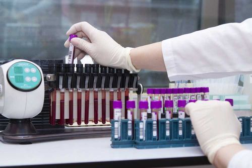 В Туве ПЦР-тесты будут отрабатываться в течение 24 часов