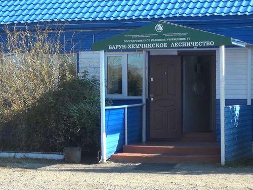 В лесной сфере Тувы выявили коррупционеров