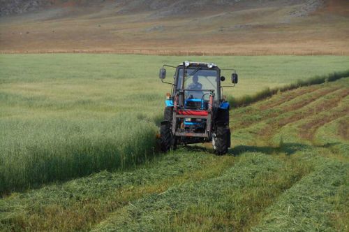 В Туве на поддержку сельского хозяйства заложен 1 млрд рублей