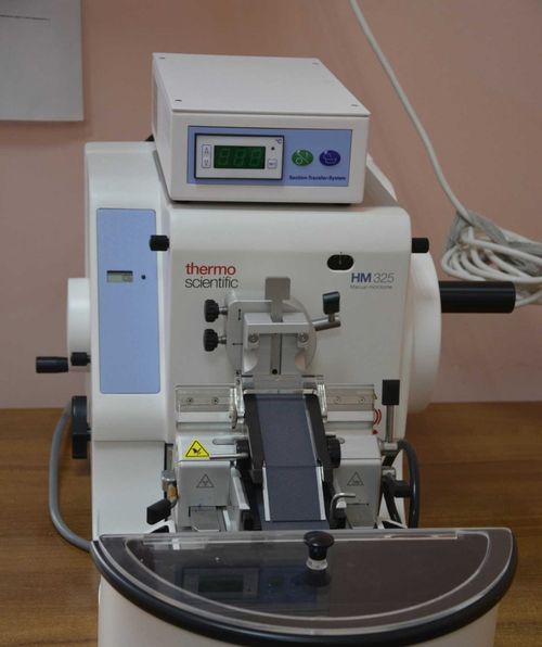 В Туве модернизация первичного звена здравоохранения наращивает темпы