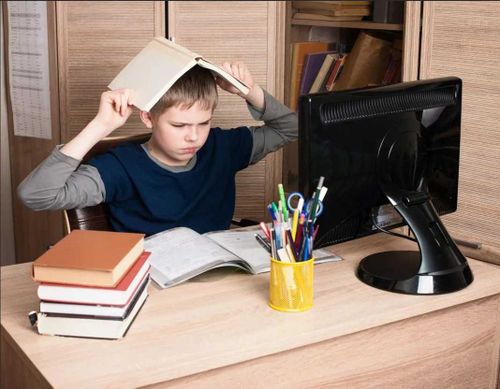 В Туве предполагают уход школ на дистанционное обучение