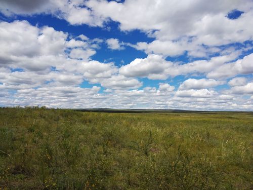 Тувинская степь. Литературная зарисовка