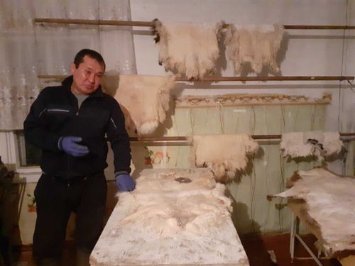 Соцконтракт подарил Туве более 100 новых производств