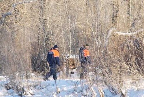 В Туве уже неделю ведутся поиски чабана