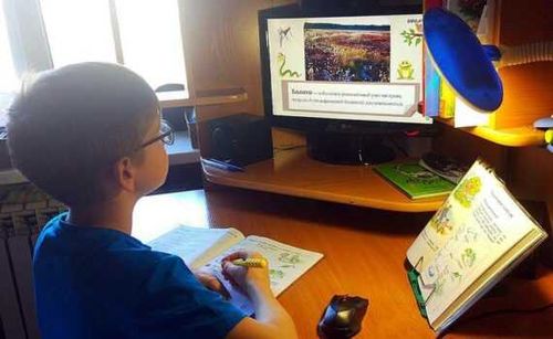 В Туве сообщили о продлении дистанционного обучения