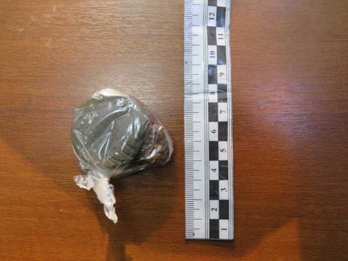 В Туве задержали жителя Абакана, хранившего наркотики в своем автомобиле