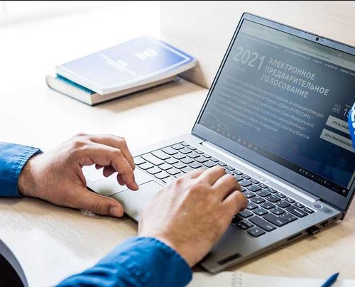 Алена Булдакова: «У дистанционного электронного голосования большое будущее»