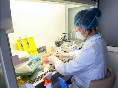 Минздрав Тувы об уровне заболеваемости COVID-19: «Отмечается незначительное снижение»