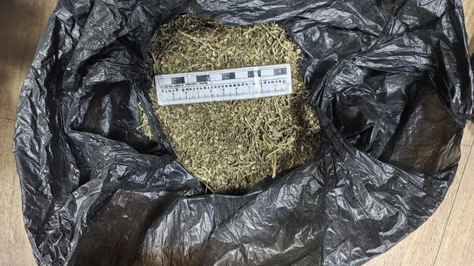 В Каа-Хемском районе изъяли крупную партию наркотиков