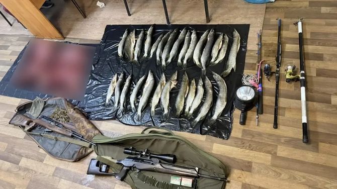 В Туве задержали браконьеров с тушей косули и 27 щуками
