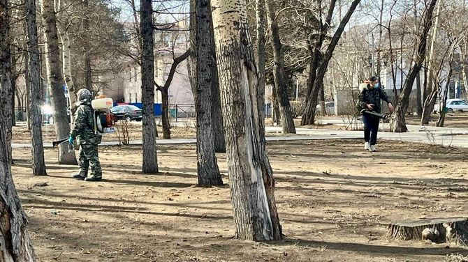 Халдавырлыг саргы энцефалидинге удур профилактика хемчеглерин күштелдир