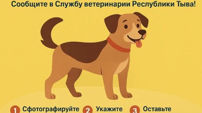 В Туве стартует социальная акция «Сообщи о нерадивом хозяине»