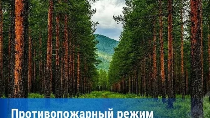 Особый противопожарный режим в Туве продлён до 26 июля