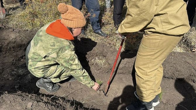 В Туве стартует экологическая акция «Сохраним лес»