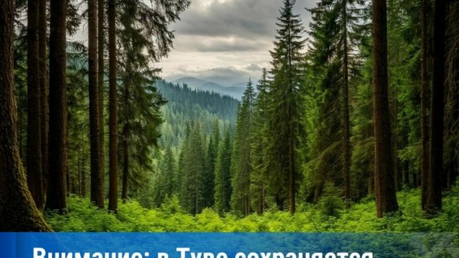 В Туве сохраняется высокая пожарная опасность