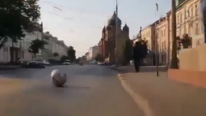 📢Видеовизуальный контент по безопасности дорожного движения в социальных сетях и интернет-изданиях "Пешеходный переход (нейросеть)"